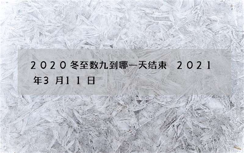 2020冬至数九到哪一天结束 2021年3月11日